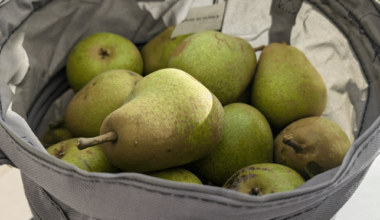 Birnen vom eigenen Garten 🍐