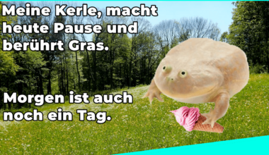 ich🌿iel