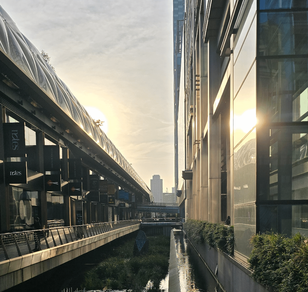 Canary wharf this morning.