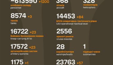 Total combat losses of the enemy from 24.02.22 to 30.08.24