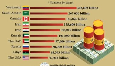 Venezuela to increase BRICS oil reserves