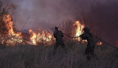 Incendies : les pays européens s'unissent pour venir en aide à la Grèce et à l'Albanie