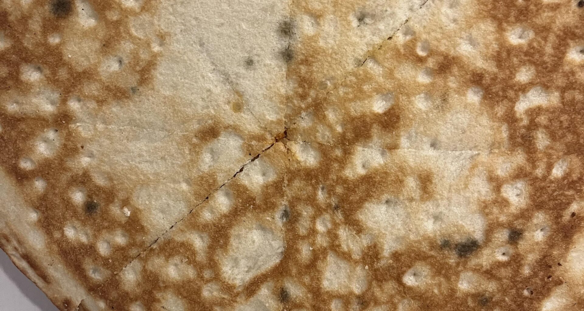 Is this mould on my takeaway pizza?