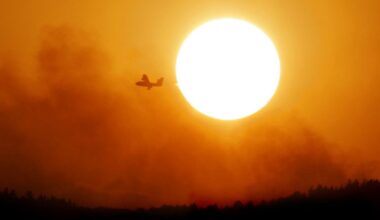 Incendies sur l'île de Madère : le Portugal fait appel à l'UE