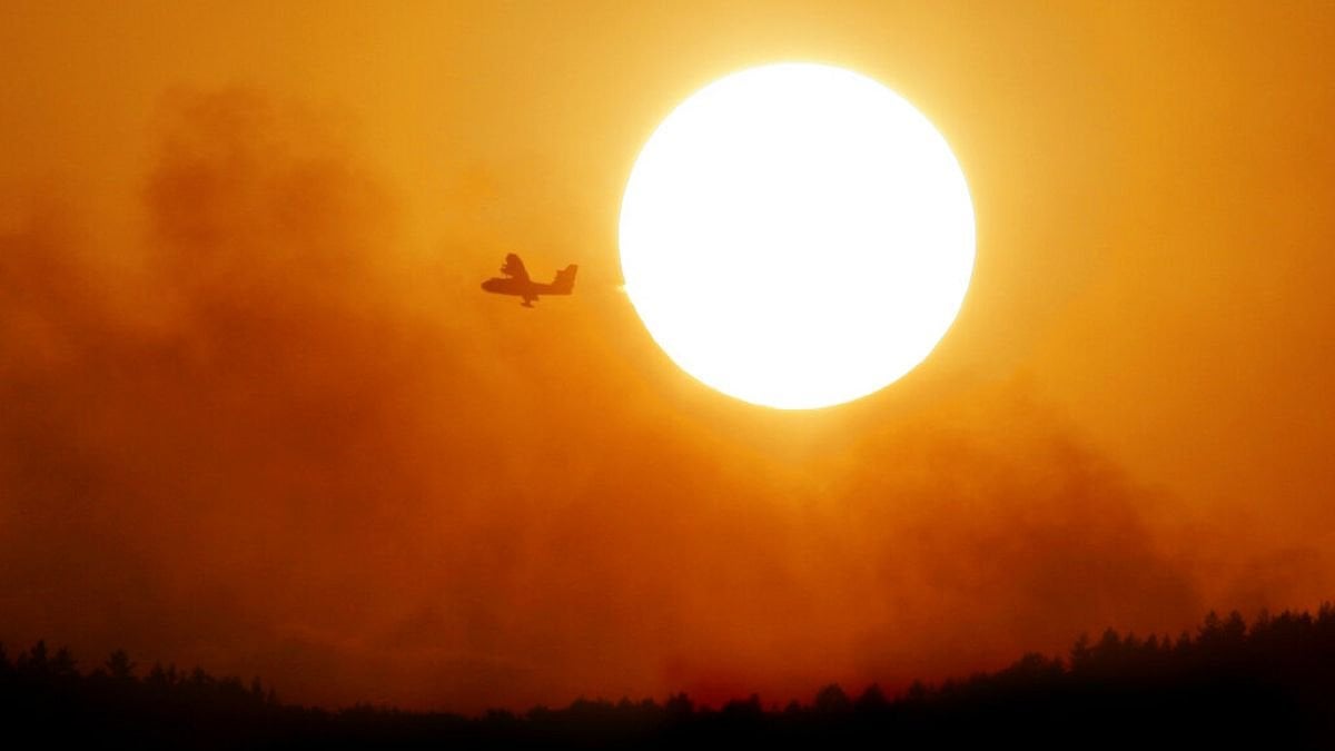 Incendies sur l'île de Madère : le Portugal fait appel à l'UE