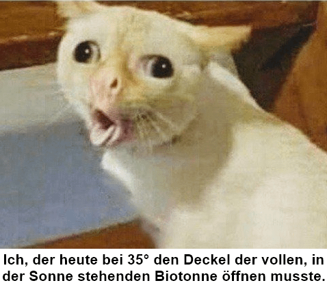 ich🤮iel