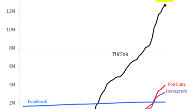 Duolingo’s “unhinged” and “weird” marketing is working on TikTok [OC]