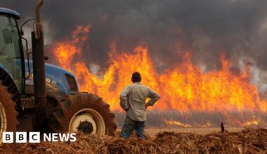 Brazil wildfires leave at least two dead