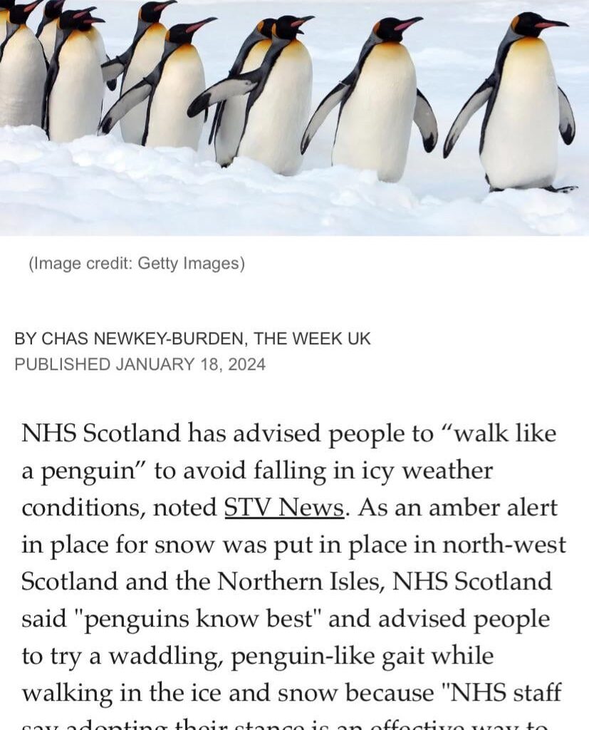 NHS penguin advisory