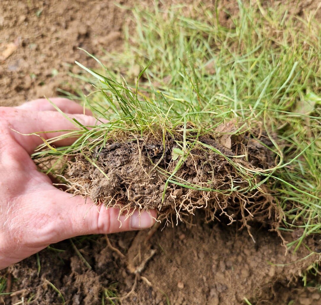 Gartenerde vom verdichten abhalten