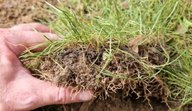 Gartenerde vom verdichten abhalten