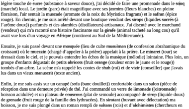 J’appelle la cadémie à se démettre et abdiquer immédiatement eu égard à leur impardonnable offense de ne pas avoir su préserver le rançais véritable. Voici une rectification d'un texte saturé d'emprunts à la lange rabe auxquels nos vils modérateurs et censeurs auraient octroyé le droit de tribune.