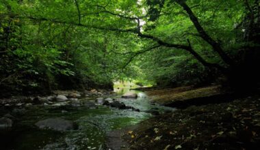 Down by the Water of Leith, a short ways from Dean Village