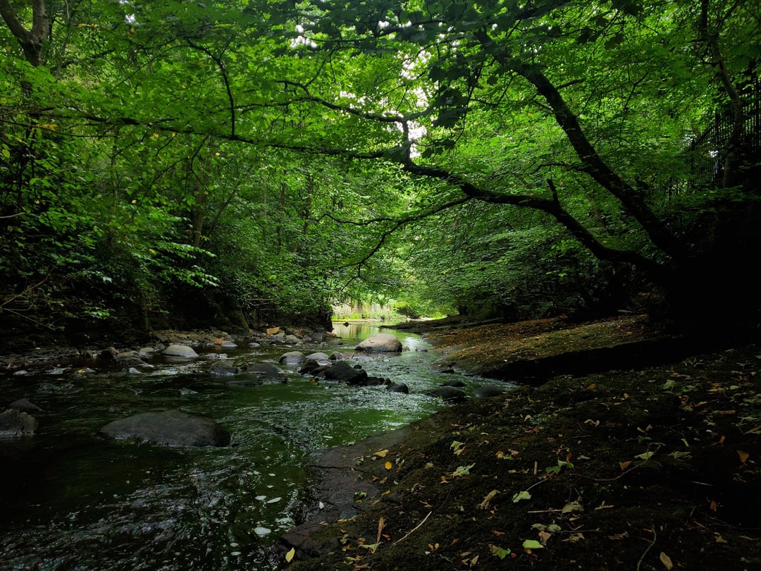 Down by the Water of Leith, a short ways from Dean Village