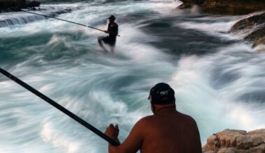 ‘The Mediterranean is on fire’: Experts sound warnings about why marine heatwaves are so dangerous •  Local ocean readings of around 30C provide a worrying glimpse of what is going on in the wider Mediterranean this summer.