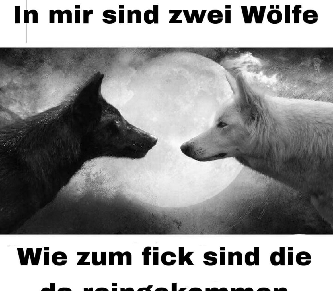 Ich🐺iel