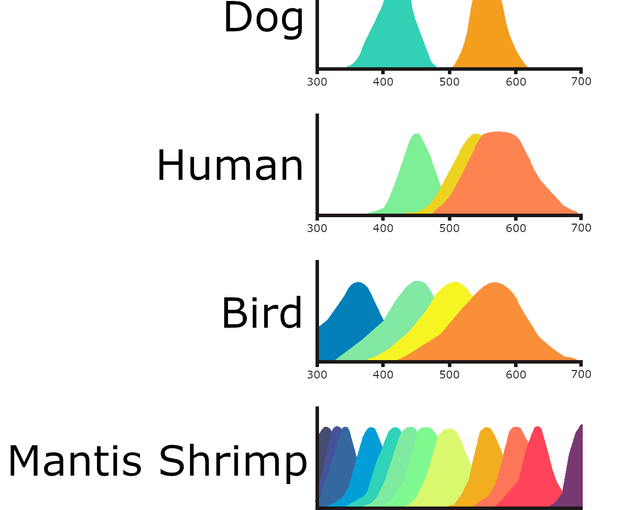 [OC] Vision cone spectrums of several species