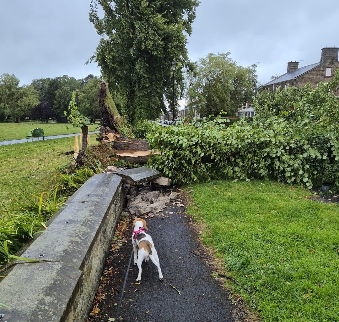 Bit windy today