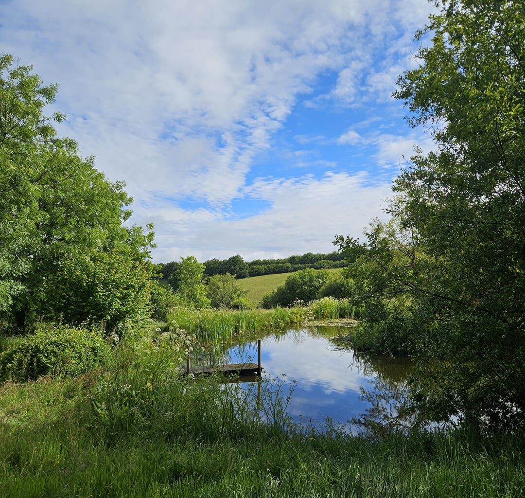 Nice find in on Devon walk