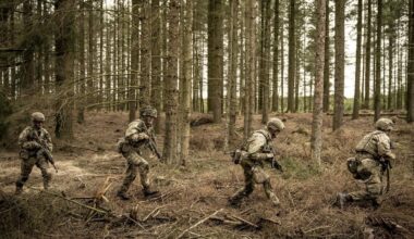 OTAN : plus de 800 soldats danois sont arrivés en Lettonie