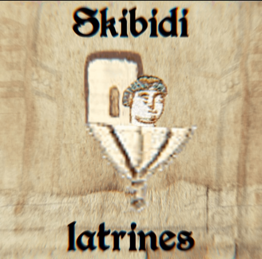 Skibidi latrines a entré le chat