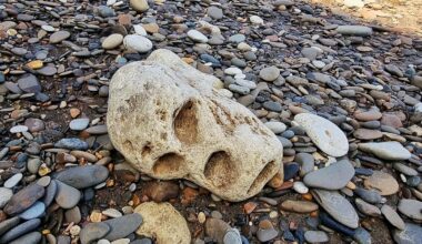 Today at Blackhall Rocks beach