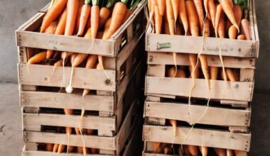 Échange au marché