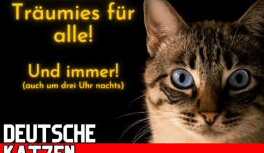 ich😼iel