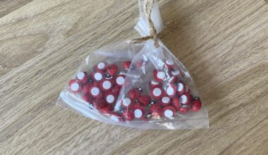 Got these little ladybirds with stickers on the back for a £1 on the market. I’m going to stick them in random places all over the mother-in-law’s kitchen.