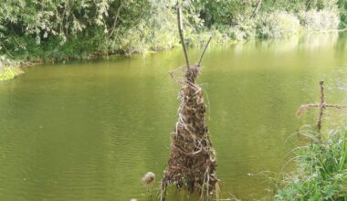 Canal scarecrow or witchcraft?