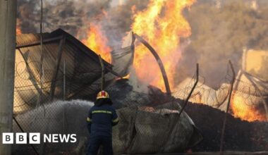 Greece fires: One dead as wildfires rage across Athens suburbs