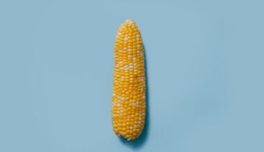 NASA Study Warns of 24% Global Corn Yield Decline by 2030