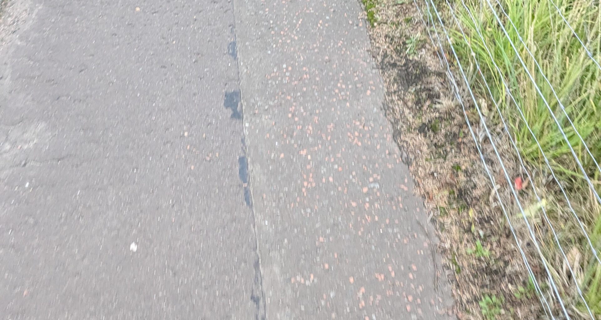 Always seen but never considered. Why is there pink stones put into pavements? Is it grip or something?