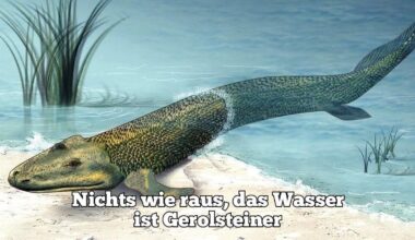 Ich🤢iel