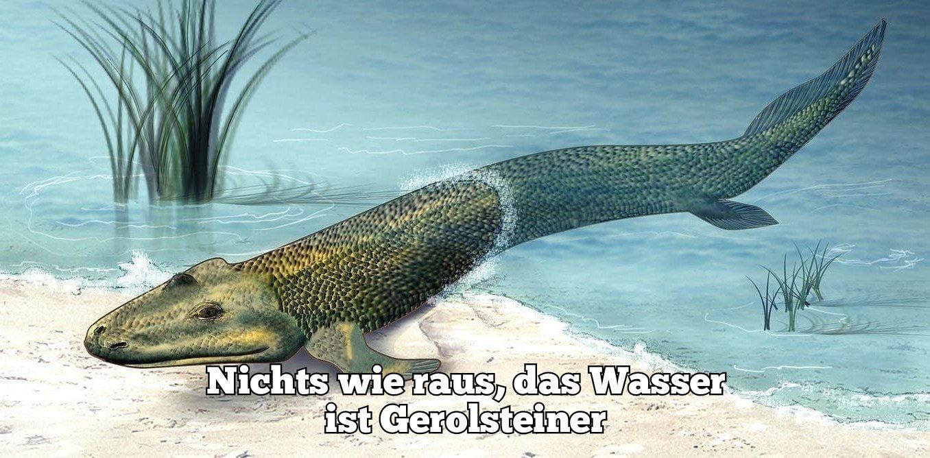 Ich🤢iel