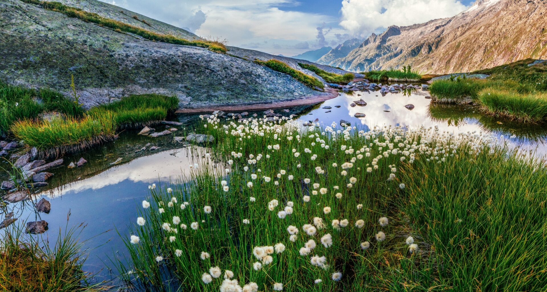 Grimsel Pass, Obergoms, Switzerland