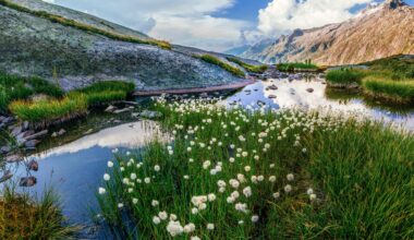 Grimsel Pass, Obergoms, Switzerland