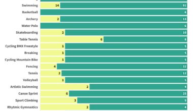 Paris 2024 Olympics: Medals by disciplines and human development