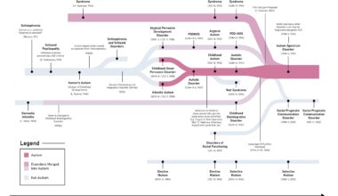 The Changing Division of Autism and Related Disorders [OC]