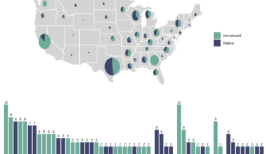 [OC] US city nicknames tend to feature cultivated plants and animals over native and wild species