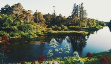 Ballynahinch Castle Hotel, Recess, Ireland