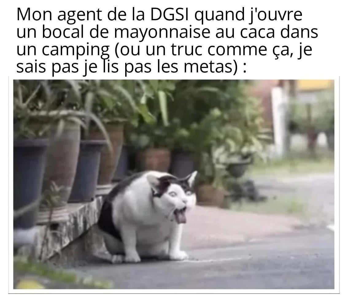 Je suis fatigué...