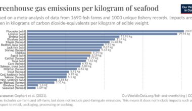 Greenhouse gas emissions per kilogram of seafood