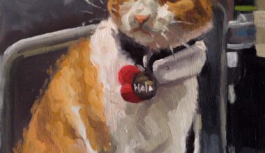 I did an oil painting of Nala the Stevenage station cat