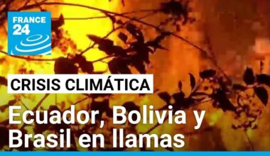 América Latina en llamas por las consecuencias del cambio climático • FRANCE 24 Español