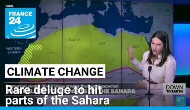 Down to Earth: Rare deluge to hit parts of the Sahara • FRANCE 24 English