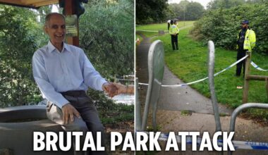 Dog walker, 80, ‘was 30 seconds from home when gang of youths kicked him to death in park’