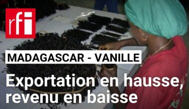 Madagascar : pourquoi les recettes de la vanille s’effondrent  ? • RFI