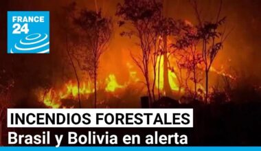 Alerta en Brasil y Bolivia por incendios forestales en la Amazonia • FRANCE 24 Español