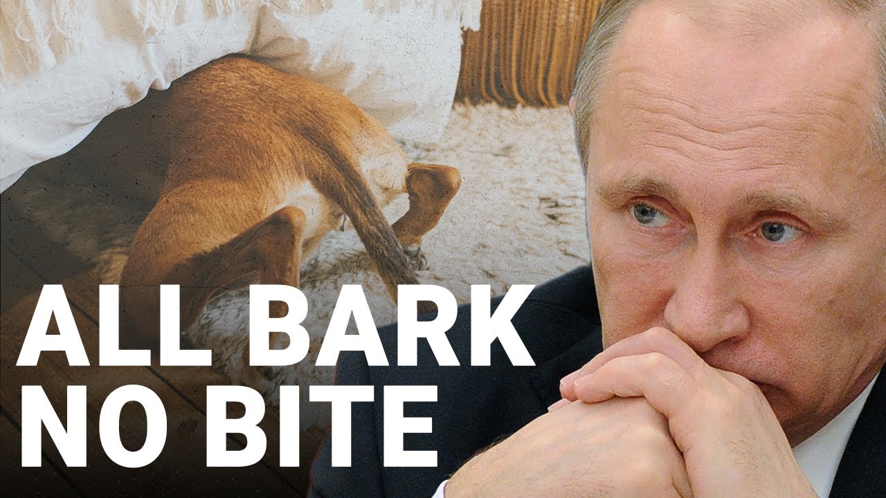 Putin is ‘struggling’ in Ukraine and has no intention of escalating